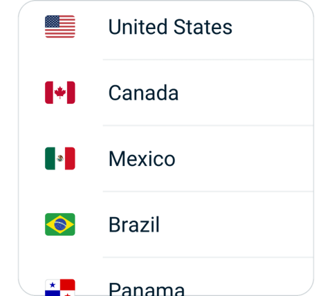 npvVPN connect step 2, choose VPN server location